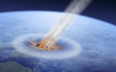 Asteroids, Monkeys and Our Dietary Journey