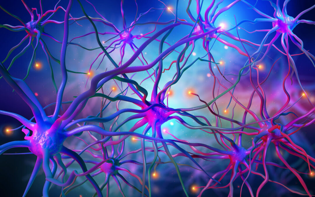 A Bigger and Better Brain